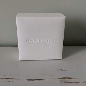 Pandora bracelet and charm bags set
